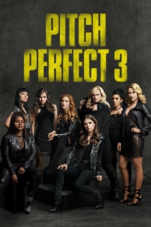 Pitch Perfect 3 2017 Hindi Dual Audio 480p BluRay 300MB HD Poster Download - filmyfly