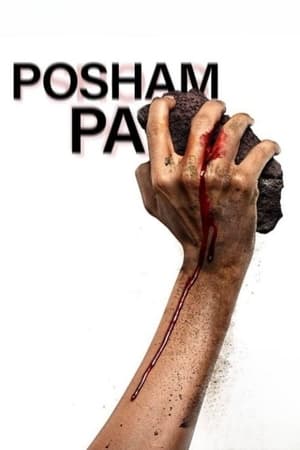 Posham Pa (2019) Hindi Movie 480p HDRip - [240MB] HD Poster Download - filmyfly