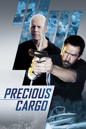 Precious Cargo (2016) Hindi Dual Audio 720p BluRay [920MB] HD Poster Download - filmyfly