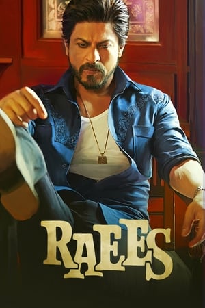 Raees 2017 Full Movie Bluray 720p [1.2GB] Download HD Poster Download - filmyfly