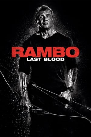 Rambo: Last Blood (2019) Hindi Dual Audio 480p BluRay 300MB HD Poster Download - filmyfly