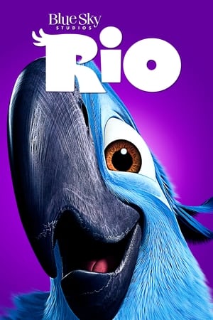 Rio (2011) 100mb Hindi Dual Audio movie Hevc 130MB HD Poster Download - filmyfly