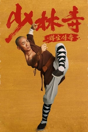 Rising Shaolin: The Protector (2021) Hindi Dual Audio HDRip 720p – 480p HD Poster Download - filmyfly