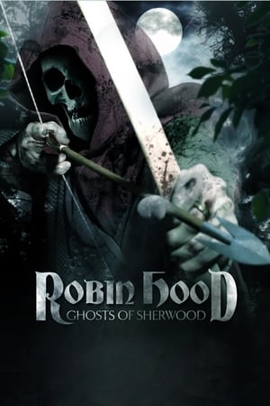 Robin Hood: Ghosts of Sherwood (2012) Hindi Dual Audio 480p BluRay 350MB HD Poster Download - filmyfly