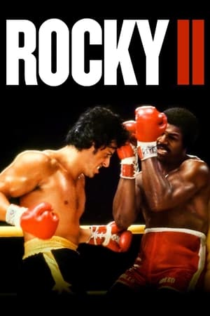 Rocky II (1979) Dual Audio Hindi Full Movie 720p Bluray - 850MB HD Poster Download - filmyfly