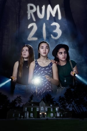 Rum 213 2017 Hindi Dual Audio 720p BluRay [800MB] HD Poster Download - filmyfly