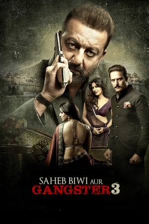 Saheb Biwi Aur Gangster 3 (2018) Movie 480p HDRip - [380MB] HD Poster Download - filmyfly
