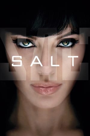 Salt (2010) Hindi Dual Audio 480p BluRay 300MB HD Poster Download - filmyfly