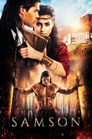 Samson (2018) Hindi Dual Audio HDRip 720p – 480p HD Poster Download - filmyfly
