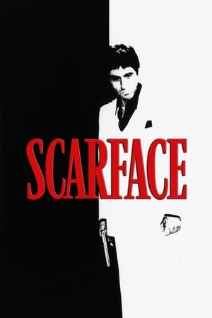 Scarface (1983) Dual Audio Hindi Movie 720p BluRay - 1.4GB HD Poster Download - filmyfly