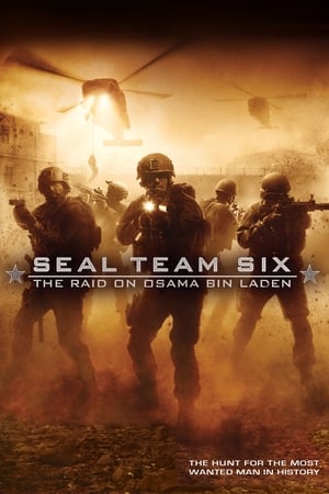 Seal Team Six: The Raid on Osama Bin Laden (2012) Hindi Dual Audio 480p BluRay 300MB HD Poster Download - filmyfly