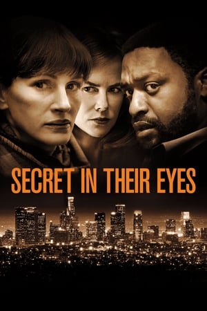 Secret in Their Eyes 2015 Hindi Dual Audio 480p BluRay 350MB HD Poster Download - filmyfly