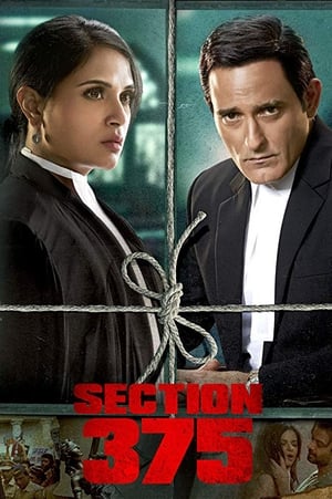 Section 375 (2019) Hindi Movie 720p HDRip x264 [980MB] HD Poster Download - filmyfly