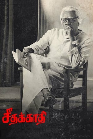 Seethakaathi (2018) Hindi Dubbed 480p HDRip 400MB HD Poster Download - filmyfly