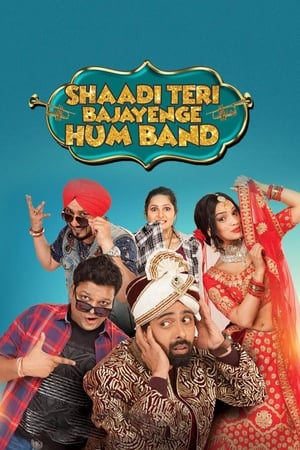 Shaadi Teri Bajayenge Hum Band (2018) Movie 480p HDRip – [350MB] HD Poster Download - filmyfly