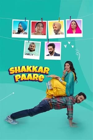 Shakkar Paare 2022 Punjabi Movie Pre-DVDRip 720p – 480p HD Poster Download - filmyfly