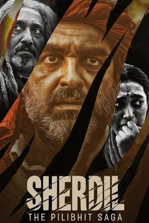 Sherdil 2022 Hindi Movie HDRip 720p – 480p HD Poster Download - filmyfly