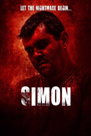 Simon (2016) Hindi Dual Audio HDRip 720p – 480p HD Poster Download - filmyfly