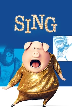 Sing (2016) Hindi Dual Audio 480p BluRay 330MB HD Poster Download - filmyfly