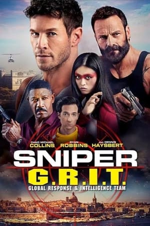 Sniper GRIT Global Response and Intelligence Team 2023 Hindi Dual Audio HDRip 720p – 480p HD Poster Download - filmyfly