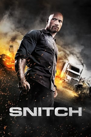 Snitch (2013) Hindi Dual Audio 720p BluRay [930MB] HD Poster Download - filmyfly