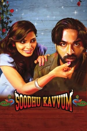 Soodhu Kavvum (2013) (Hindi – Tamil) Dual Audio 480p UnCut HDRip 450MB HD Poster Download - filmyfly