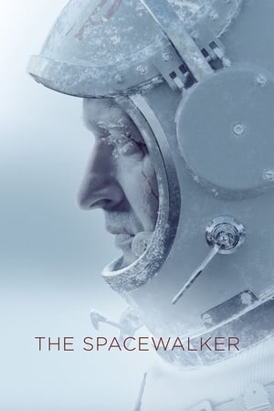 Spacewalk 2017 Hindi Dual Audio HDRip 720p – 480p HD Poster Download - filmyfly