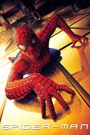 Spider-Man (2002) Hindi Dual Audio 480p BluRay 370MB HD Poster Download - filmyfly