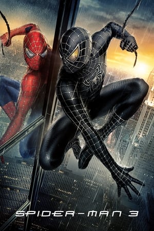 Spiderman 3 (2007) 100mb Hindi Dual Audio movie Hevc BRRip Download HD Poster Download - filmyfly