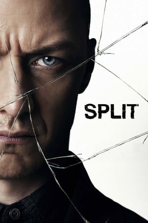 Split (2016) Hindi Dual Audio 480p BluRay 400MB HD Poster Download - filmyfly