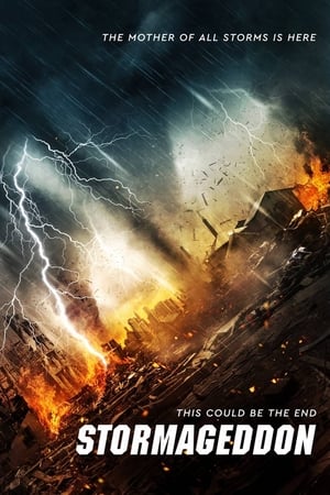 Stormageddon (2015) Hindi Dual Audio 720p BluRay [1.1GB] HD Poster Download - filmyfly