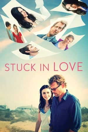 Stuck in Love (2012) Hindi Dual Audio 480p BluRay 300MB HD Poster Download - filmyfly