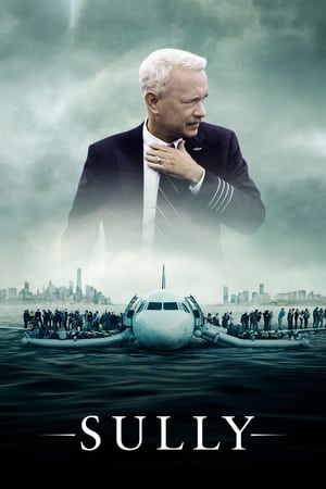 Sully (2016) Hindi (Unofficial Dubbed) Dual Audio BluRay [480p] [720p] HD Poster Download - filmyfly