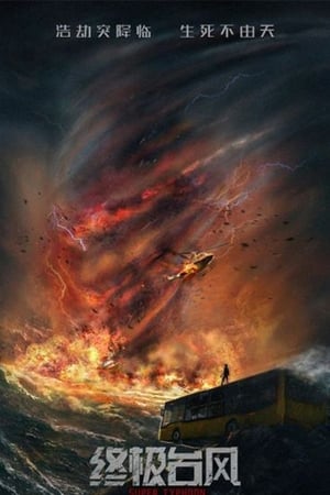 Super Typhoon 2020 Hindi Dual Audio HDRip 720p – 480p HD Poster Download - filmyfly