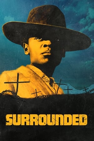 Surrounded 2023 Hindi Dual Audio HDRip 720p – 480p HD Poster Download - filmyfly