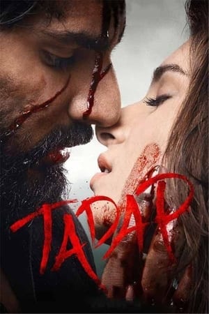 Tadap (2021) Hindi Movie 480p Pre-DVDRip – [400MB] HD Poster Download - filmyfly