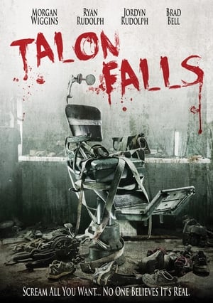 Talon Falls (2017) Hindi Dual Audio 720p BluRay [1GB] HD Poster Download - filmyfly