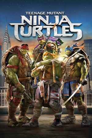 Teenage Mutant Ninja Turtles (2014) Hindi Dual Audio 480p BluRay 330MB HD Poster Download - filmyfly