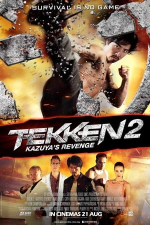 Tekken Kazuyas Revenge 2014 Hindi Dual Audio 720p BluRay [900MB] HD Poster Download - filmyfly