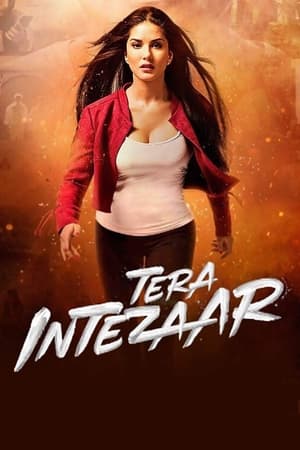 Tera Intezaar 2017 Movie 720p HDRip x264 [850MB] HD Poster Download - filmyfly