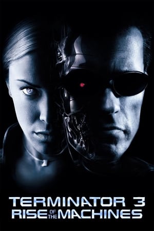 Terminator 3: Rise of the Machines (2003) Hindi Dual Audio 480p BluRay 350MB HD Poster Download - filmyfly