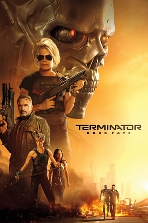 Terminator: Dark Fate (2019) Hindi (Org) Dual Audio 480p BluRay 400MB HD Poster Download - filmyfly