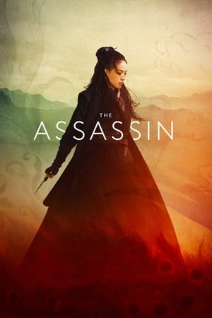 The Assassin 2015 Hindi Dual Audio 480p BluRay 300MB HD Poster Download - filmyfly