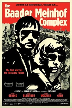 The Baader Meinhof Complex (2008) Hindi Dual Audio 480p HDRip 500MB HD Poster Download - filmyfly