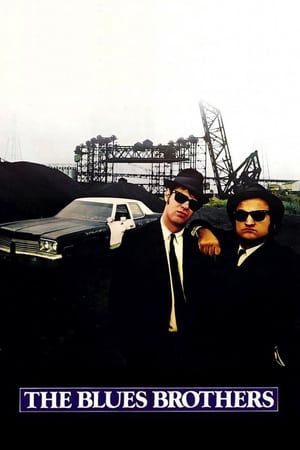 The Blues Brothers (1980) Hindi Dual Audio Movie 720p BluRay - 1.2GB HD Poster Download - filmyfly