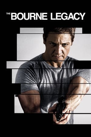The Bourne Legacy (2012) Hindi Dual Audio 480p BluRay 400MB HD Poster Download - filmyfly