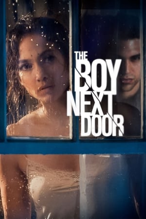 The Boy Next Door 2015 Hindi Dual Audio 720p BluRay [860MB] HD Poster Download - filmyfly