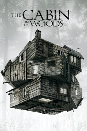 The Cabin in the Woods 2012 Dual Audio Hindi 480p BluRay 300MB ESubs HD Poster Download - filmyfly