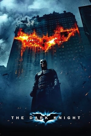 The Dark Knight (2008) Hindi Dual Audio Bluray 720p [1.0GB] Download HD Poster Download - filmyfly