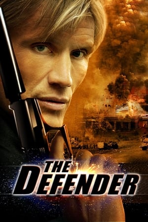 The Defender (2004) Hindi Dual Audio 480p BluRay 300MB HD Poster Download - filmyfly
